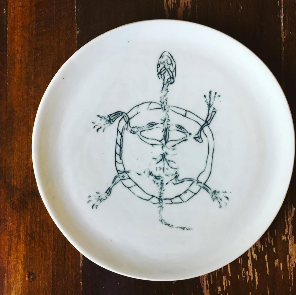 Clay: Turtle Plate